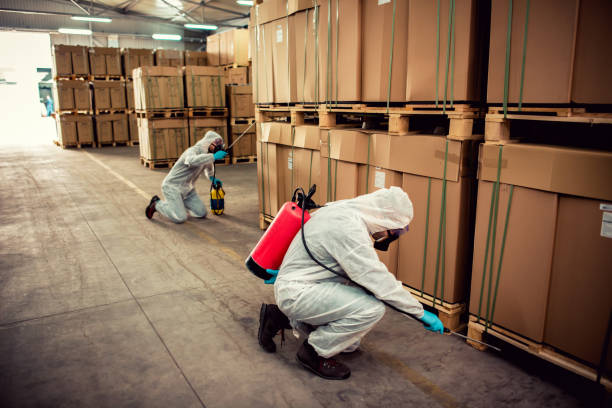 Best Mosquito Control Services  in Beach City, TX