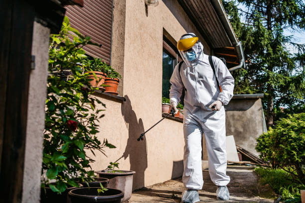 Best Affordable Pest Control Services  in Beach City, TX