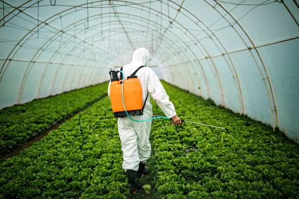 Best Best Pest Control Companies  in Beach City, TX