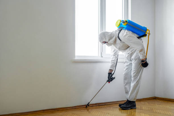 Best Emergency Pest Control  in Beach City, TX