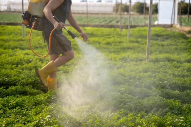 Best Pest Control for Restaurants  in Beach City, TX