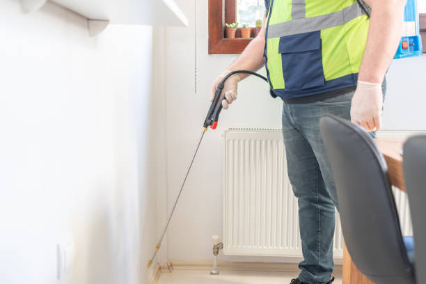 Flea Control Services in Beach City, TX