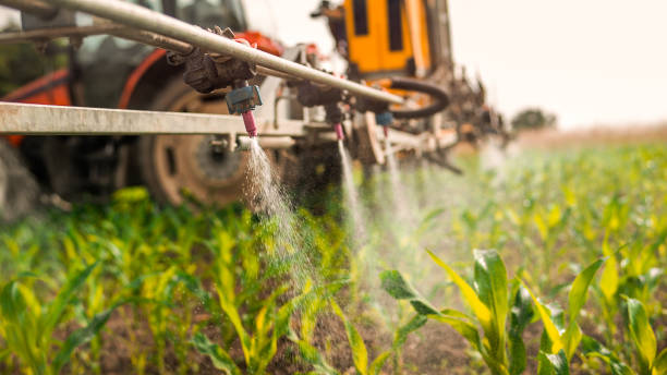 Best Mosquito Control Services  in Beach City, TX
