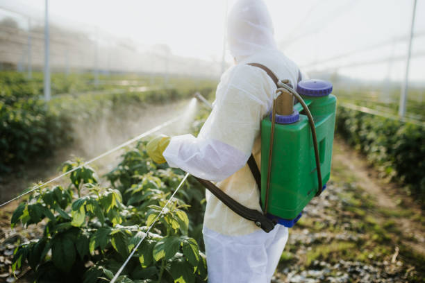 Pest Control for Restaurants in Beach City, TX